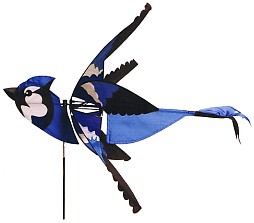 Flying Blue Jay