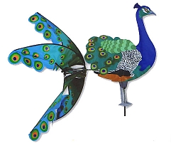 Peacock - Click to Zoom